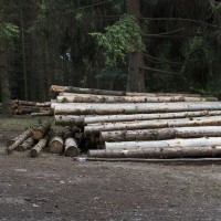 logs-957496_1920.jpg