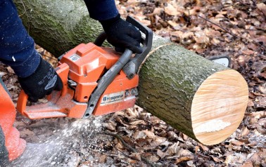 cutting-wood-2146507_1920.jpg