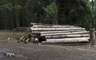 logs-957496_1920.jpg